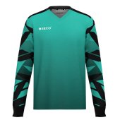 Вратарский свитер SECO® Givalda Protect Pro 25320317 цвет: бирюзовый