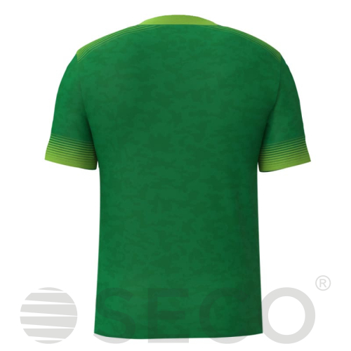 Футболка вратаря игровая SECO® Girona GK 23224207 цвет: зеленый