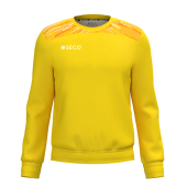 Кофта спортивна SECO® Ruida 25317203 колір: жовтий